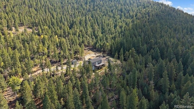 33884 Bergen View Trail unit 197153, Evergreen, CO 80439 - photo 3