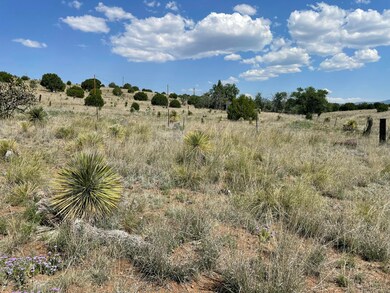 191 Kirkland Rd, Silver City, NM 88061 - photo 4