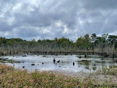 0 Buffalo Creek Rd unit 25806402, Carrollton, GA 30117 - photo 3