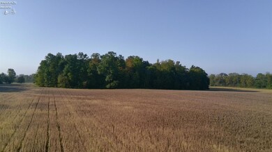 0 Section Line Rd unit 20253852, New London, OH 44851 - photo 5