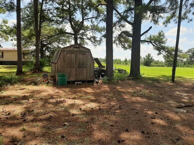 Shed