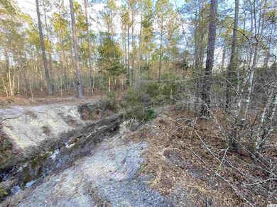 TBD 3.7 Acre Wilderness Ln, Loris, SC 29569 - photo 4