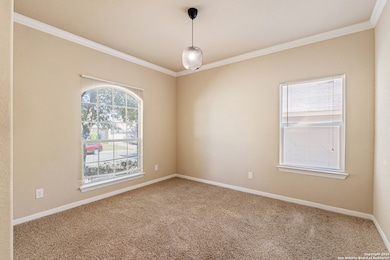 10618 Cosmos Canyon, Helotes, TX 78023 - photo 6