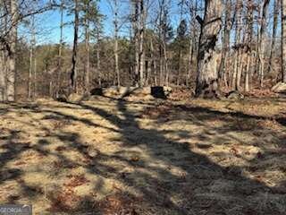 85 Waterloo Dr, Dahlonega, GA 30533 - photo 6