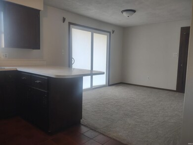 11256 N 200 W, Alexandria, IN 46001 - photo 7