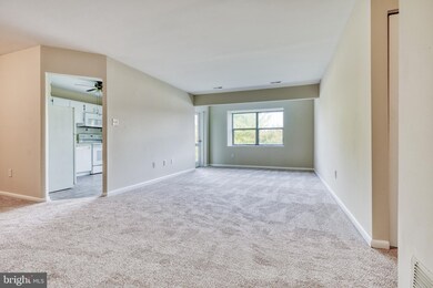 19 Juliet Ln unit 303, Nottingham, MD 21236 - photo 7