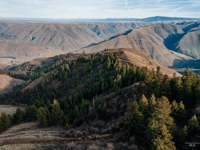 TBD Boles Rd, Cottonwood, ID 83552 - photo 4