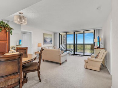 Carpeted living room with a wall of windows