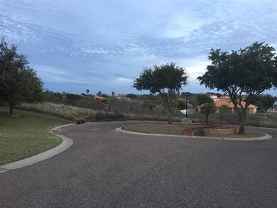 113 Mourning Dove Ct, Laredo, TX 78045 - photo 4