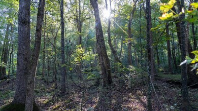 0 Sumatanga Rd, Steele, AL 35987 - photo 2