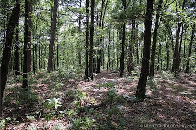 71 U S 59, Jay, OK 74346 - photo 7