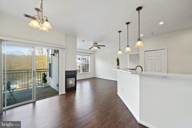 15620 Everglade Ln unit 301, Bowie, MD 20716 - photo 5