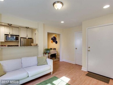 8414 Flower Ave unit 6, Takoma Park, MD 20912 - photo 7