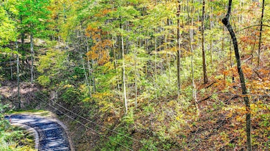 DJI_20241029124502_0093_D