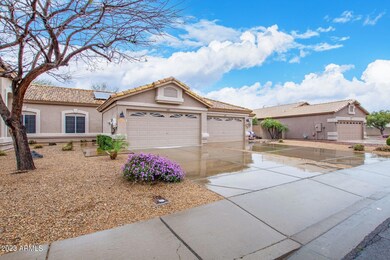 Driver Chino front 2