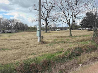 00 S 10th St unit South Tenth Street,, Clarendon, AR 72029 - photo 4