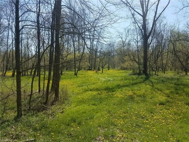 Back property. It's like your own personal PARK! C