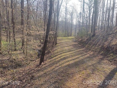 0 River Crest Pkwy unit 25538697, Rutherfordton, NC 28139 - photo 7