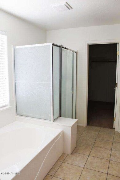 Master bathroom tub shower