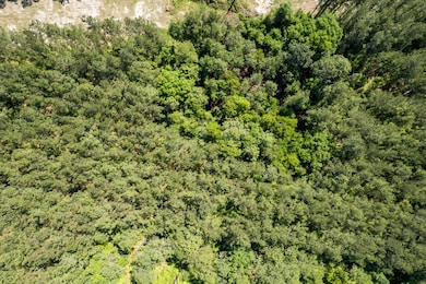 29.81 ac Hwy 49 and Hwy 13, Brooklyn, MS 39425 - photo 4