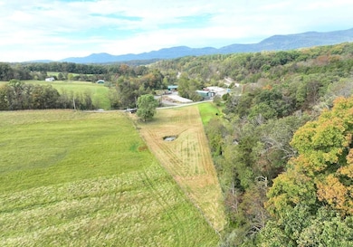 0 Hickory Hill Rd, Purgitsville, WV 26845 - photo 5