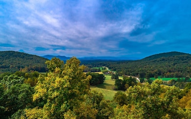 1251 Picklesimer Mountain Trail, Morganton, GA 30560 - photo 2