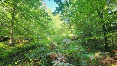 TBD1 Valley Rd, New Durham, NH 03855 - photo 3