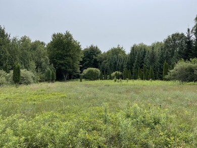 IMG_2697