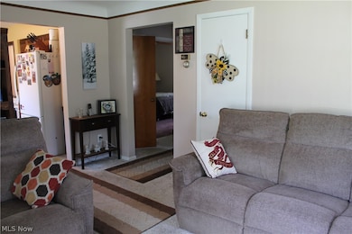 Living room with carpet flooring and crown molding