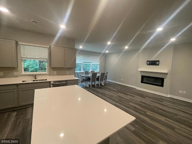 11134 Balsam Pointe Trail, Dayton, MN 55327 - photo 5