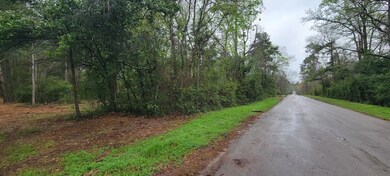 000 Old Highway 59, Lufkin, TX 75904 - photo 2