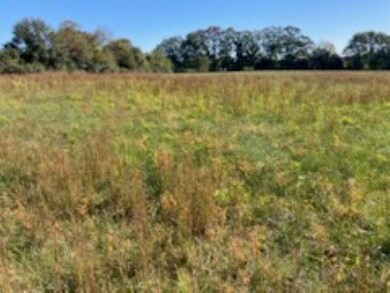 0 Cudd Dr unit SPN331649, Chesnee, SC 29323 - photo 4