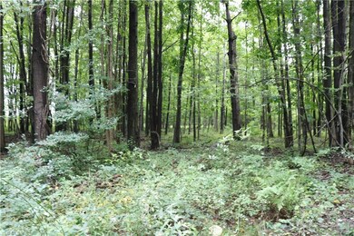 0 State Route 167 unit 4136104, Denmark, OH 44047 - photo 5