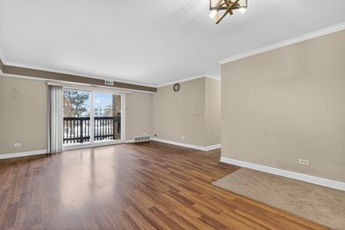 The Regency Square Apartments unit 207, Elk Grove Village, IL 60007 - photo 5