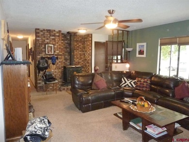 0 NE Daisy Ct, Cedaredge, CO 81413 - photo 5