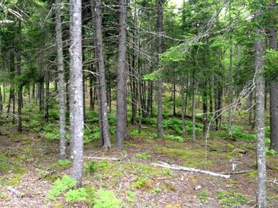 Land/Lot.