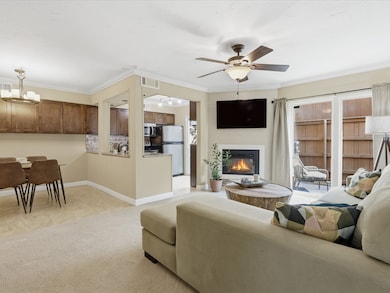 4250 Madera Rd unit 3, Irving, TX 75038 - photo 3