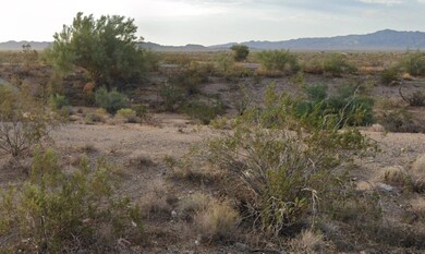 Unnamed Rd, Yucca, AZ 86438 - photo 7