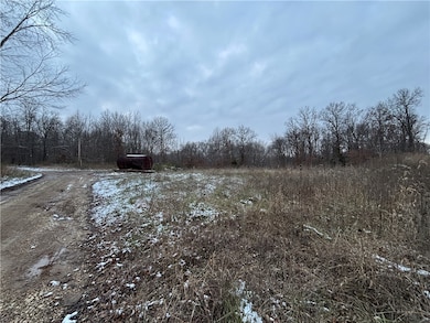 0 Kings Hill Rd, Sumner, IL 62466 - photo 2