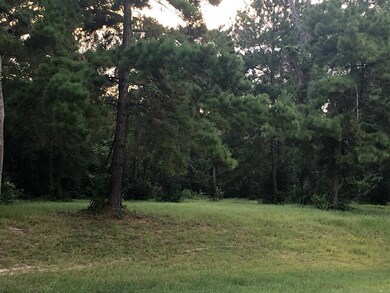 0 Hickory Knoll unit 90850686, Cleveland, TX 77328 - photo 5