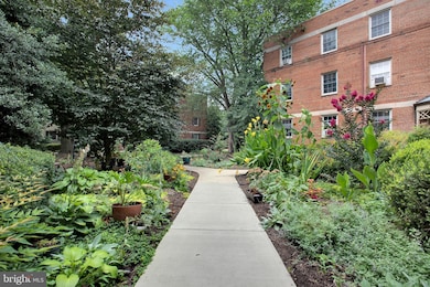 2217 Washington Ave unit 203, Silver Spring, MD 20910 - photo 3