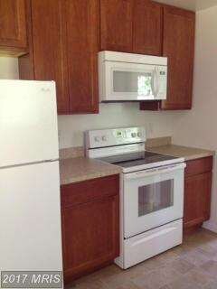 25533 Locust Green Ln, Hollywood, MD 20636 - photo 3