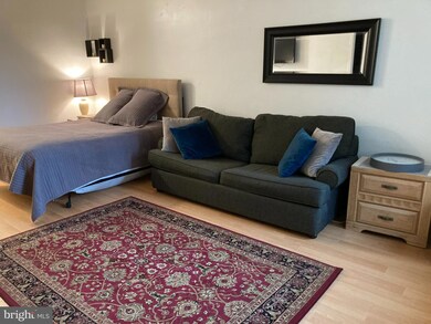 River Place South unit 536, Arlington, VA 22209 - photo 6