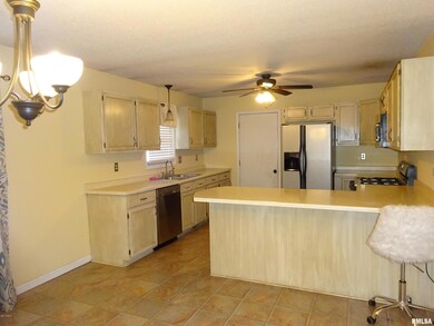 106 Tuttle Dr, Harrisburg, IL 62946 - photo 6