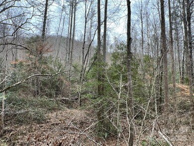 00 Collettsville Rd unit 9, Collettsville, NC 28611 - photo 4