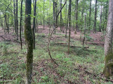 00 Raymond Rd, Hazlehurst, MS 39083 - photo 5