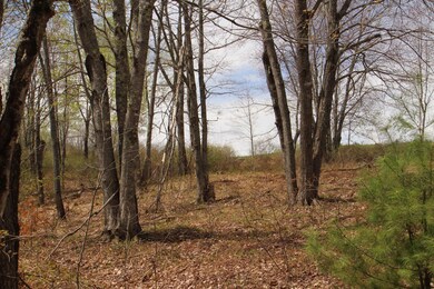 Wexler (15)