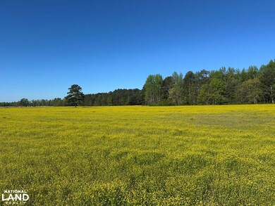 0 Parker Rd unit 25194062, Athens, AL 35614 - photo 6