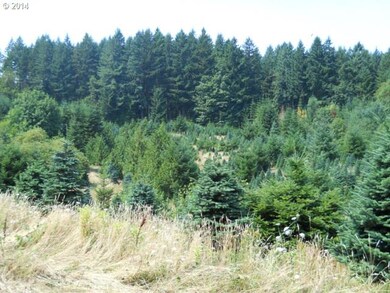 37909 S Bird Rd, Molalla, OR 97038 - photo 7