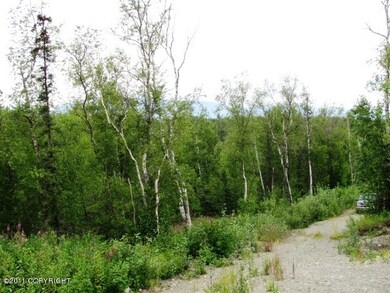 6531 E Upper Ct, Lakes, AK 99645 - photo 5